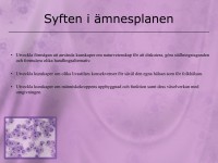 /album/a8-cellen/a5-cellen-jpeg/